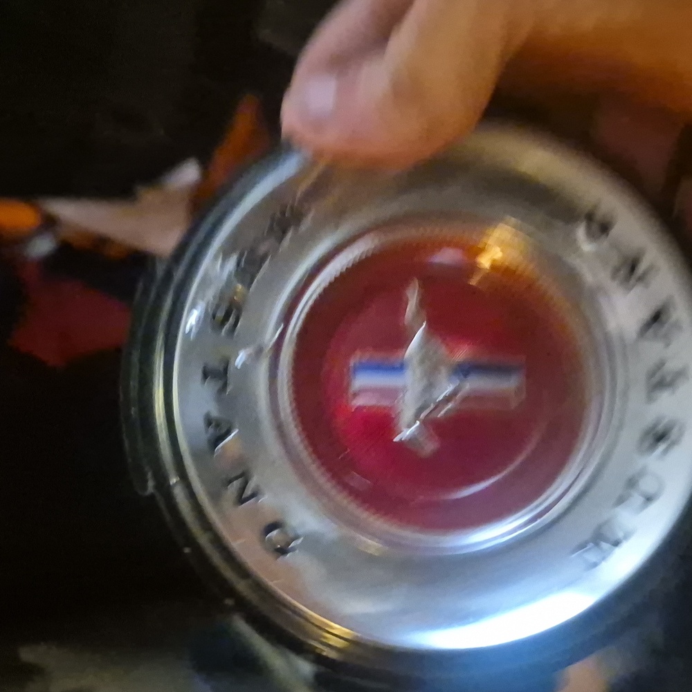 Ford Mustang Red and Silver Emblem